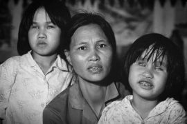 Chế độ hóa học dioxin