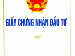 Giấy phép đầu tư nước ngoài